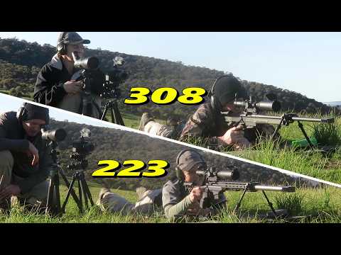 308win v 223rem Mark and Sam 1155 yards 1/2 moa challenge
