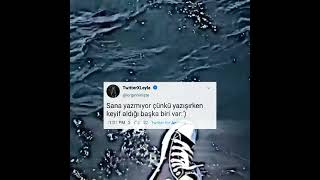 başka biri var...Tiktok twitter videoları | Tiktok Twitter Akımı/ Duygusal Tiktok twitter videosu Resimi