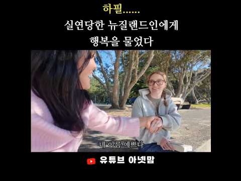 실연당한 뉴질랜드인에게 행복하냐고 물었더니…│아넷맘의 길거리 인터뷰