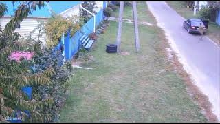 IMG 1416