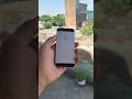 iphone 5 gaming test free fire#youtubeshorts #gaming #freefire #freefireshorts #games #viral