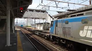 JR貨物 EF210-172[新] 8066レ トヨタロングパスエクスプレス 西小坂井駅通過