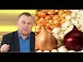 Воронежский агроном Иван Бабин выбирает лучшие сорта лука.