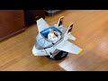 飛行機を自在に操る元気な猫…安全な大空へのハイウェイ