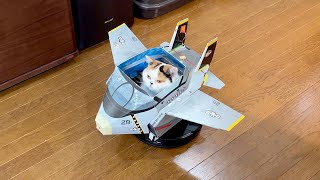 飛行機を自在に操る元気な猫…安全な大空へのハイウェイ