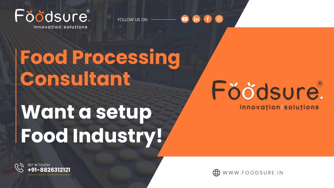 Food Consultant Food Processing Consultant Food Business ideas