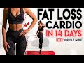 FAT LOSS FULL BODY CARDIO in 14 Days | Free Home Workout Guide