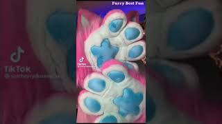 Best Furry Tiktoks Compilation 0145
