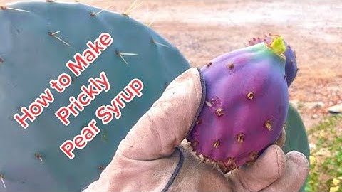 How to Make Prickly Pear Syrup