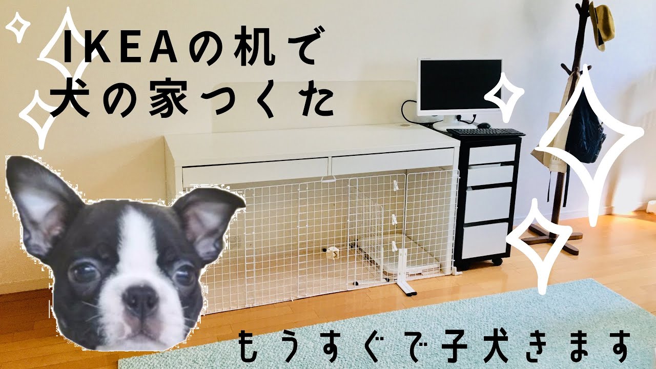 IKEAの机で犬の家つくた - YouTube