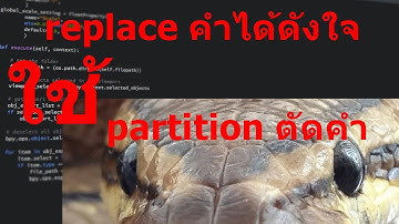 สอนไพธอน python 3 เรียนเทคนิค เปลี่ยนคำใน string replace ตัดคำ partition ตามต้องการ Function คู่มือ
