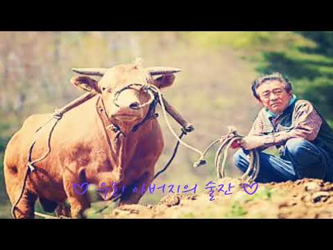 우리 아버지의 술잔