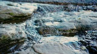 Werrington Lake 1. screenshot 4