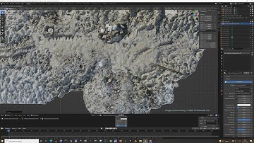 Uncovering the Rutland Ichthyosaur January Model to Final Model