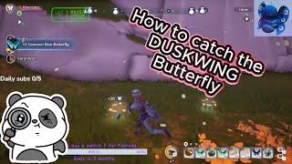 How To Catch The Duskwing Erfly Plushy Fast Bug Catching Guide