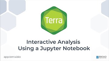 Interactive Analysis using a Jupyter Notebook in Terra