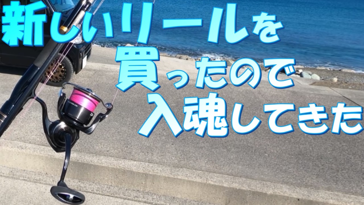 久しぶりのベタ凪で水温が１３,５℃あったので２月の日本海に行ってみた