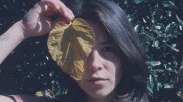 Slow Meadow - Upstream Dream (Film by Vanessa Pla)