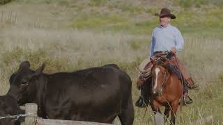 Download Lagu The Wild West!  Historic 28,000 Acre Gang Ranch For Sale - British Columbia MP3 Download Lagu The Wild West!  Historic 28,000 Acre Gang Ranch For Sale - British Columbia MP3