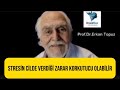 Stresin cilde verdiği zarar korkutucu olabilir