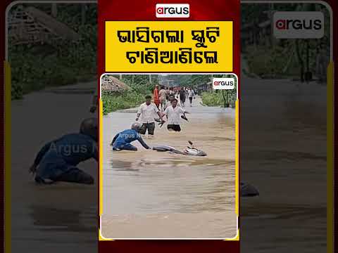 ଭସିଗଲା ସ୍କୁଟି ଟାଣିଆଣିଲେ | Balasore News | Odisha Flood | ODRAF Rescue | Flood Update | Argus News