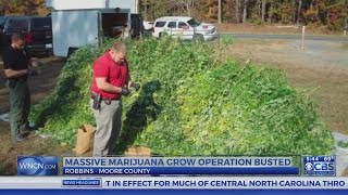 Busted marijuana operation worth millions, Moore County sheriff says