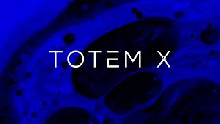 Bubble - Totem X screenshot 5