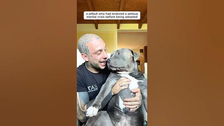 This man adopted a pitbull suffered from mental crisis #shorts