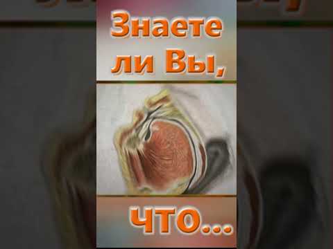 Знаете ли вы, Что? Язык