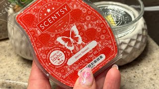 Scentsy Berry Sweet  New Scent 2024 Warm Review