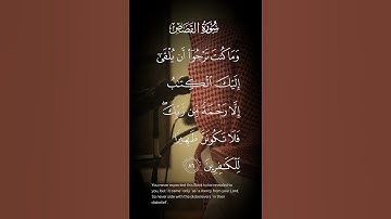 سورة القصص وماكنت ترجوا أن يلقى إليك الكتاب إلا رحمة من ربك فلا تكونن ظهيرا للكافرين الاية ٨٦
