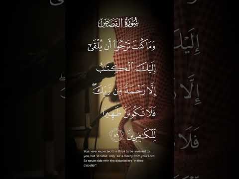 سورة القصص وماكنت ترجوا أن يلقى إليك الكتاب إلا رحمة من ربك فلا تكونن ظهيرا للكافرين الاية ٨٦