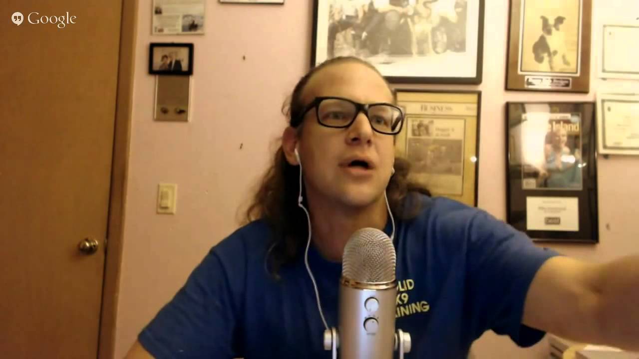 dog trainer in delhi What Would Jeff Do dog training webinar LIVE 7 13 2015