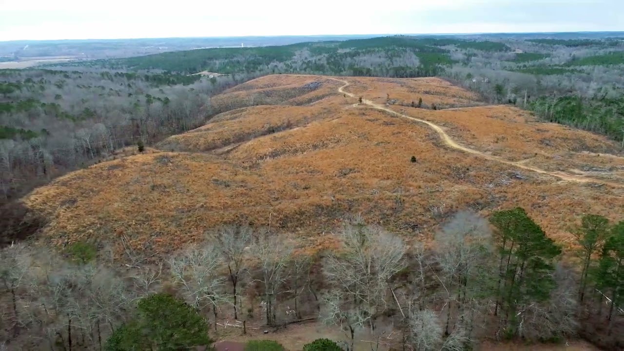 84 Acres in Hamilton Alabama