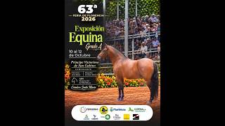 63° EXPOEQUINA GRADO "A" FLORENCIA - CAQUETÁ 2026 - DIA 2 - TROCHA COLOMBIANA .