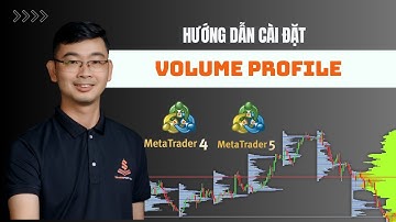 Cài Đặt Chỉ Báo Volume Profile Trên MT4 và MT5 Miễn Phí | TRADERPTKT