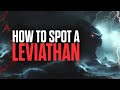 How to Spot a Leviathan, the Many-Headed Marine Spirit