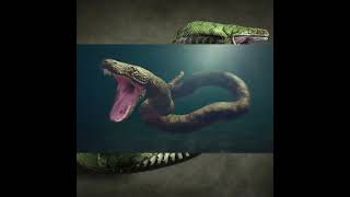 Titanoboa