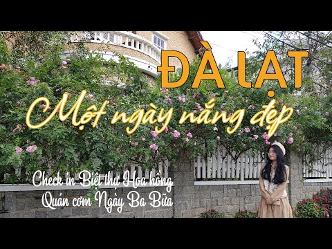 biệt thự hoa trà đà lạt Update Đà Lạt ngày nắng đẹp/ La cà \