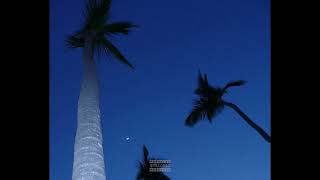 [FREE FOR PROFIT] Don Toliver x Travis Scott Type Beat ~ Model