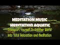 Musique pour le soulagement du stress et la mditationmditation aquatiquemindfulne