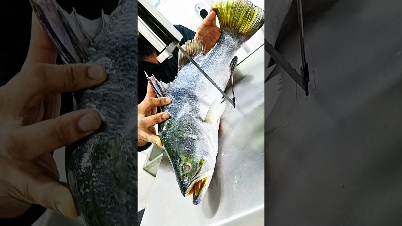 Watch the world famous huge coral fish cutting videohow beautiful it is made with the machine