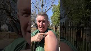 Rotator Cuff Surgery - Post-Surgery - 2 Weeks