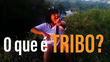 O que diferencia uma tribo de outra?