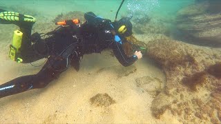 Found Jewelry Money &amp; Gold Underwater Metal Detecting with #AMAZFIT