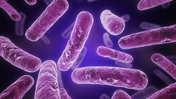 Antibiotics and the Emerging Superbug Threat