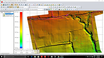 Digital Surface Model (DSM)