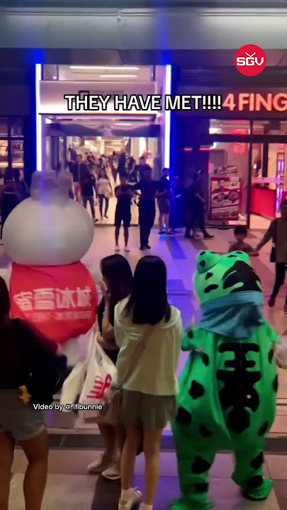 Frog and Mixue Mascot finally meet in Singapore and start brawling 😂