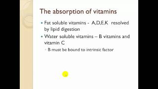 Chapter 16 The digestive system part 3