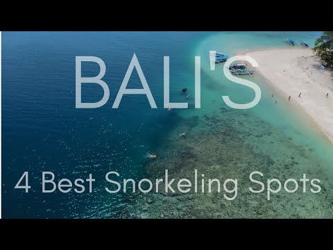 Video: Top Tauchplätze in Bali, Indonesien